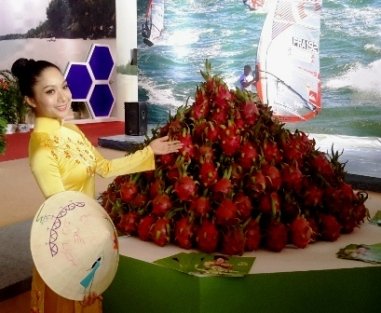 Giới thiệu sản phẩm thanh long Bình Thuận